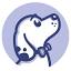 sweetpawsretreat.com-Favicon