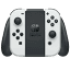 switchsrom.com-Favicon