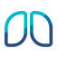 favicon de sydneyrespiratoryspecialist.com.au