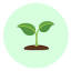 favicon de the-growingroom.com