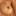 favicon de thefappening.plus