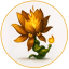 favicon di thepvzfusion.id