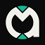 theshaaer.com favicon