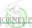 favicon di thorneypark.com