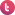 tsurvey.id favicon