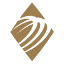 tworld.com favicon