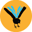 favicon di vaskiextra.net