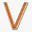 favicon di verticaltalentsolutions.com