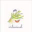 favicon de videomol.com
