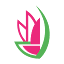 viettourist.com favicon