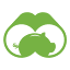 visualcapitalist.com-Favicon