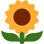 favicon voyeurflash.com