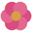 wakahflowers.com-Favicon
