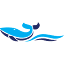 favicon de waleapparatus.com