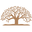 wealthcgaz.com-Favicon