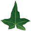 favicon de wildwoodmovie.com