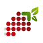 favicon di winedexer.com
