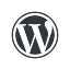 favicon di wordpress.org