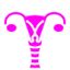 xn--drdner-yxa.de-Favicon
