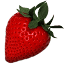 favicon de xphoto.name
