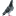 favicon di zdrowygolabipapuga.pl