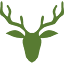 zielonyjelen.pl-Favicon