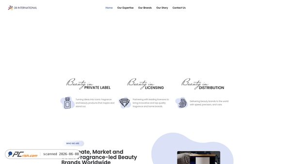 3binternational.com screenshot