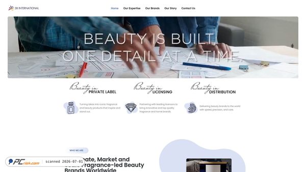 3binternational.com screenshot