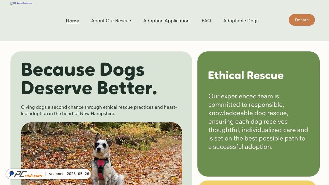 Screenshot of 603caninerescue.org