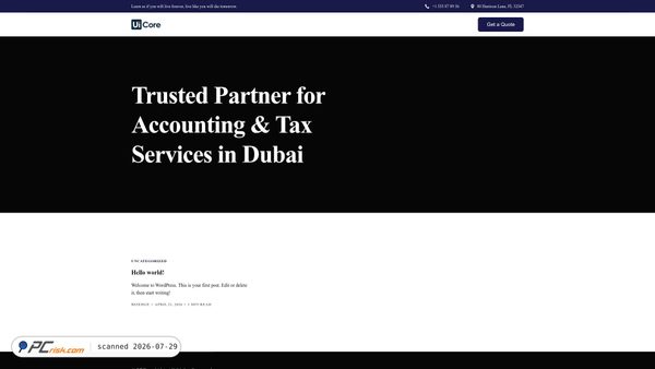 accounting.bizedgecsp.com screenshot