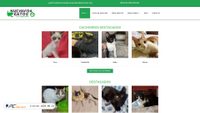 adoptargatosmadrid-nuevavida.org screenshot