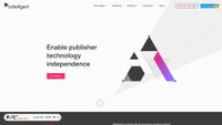 adtelligent.com screenshot