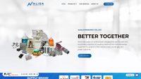 Zrzut ekranu alisa-ints.com
