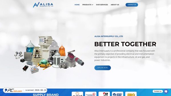 alisa-ints.com screenshot