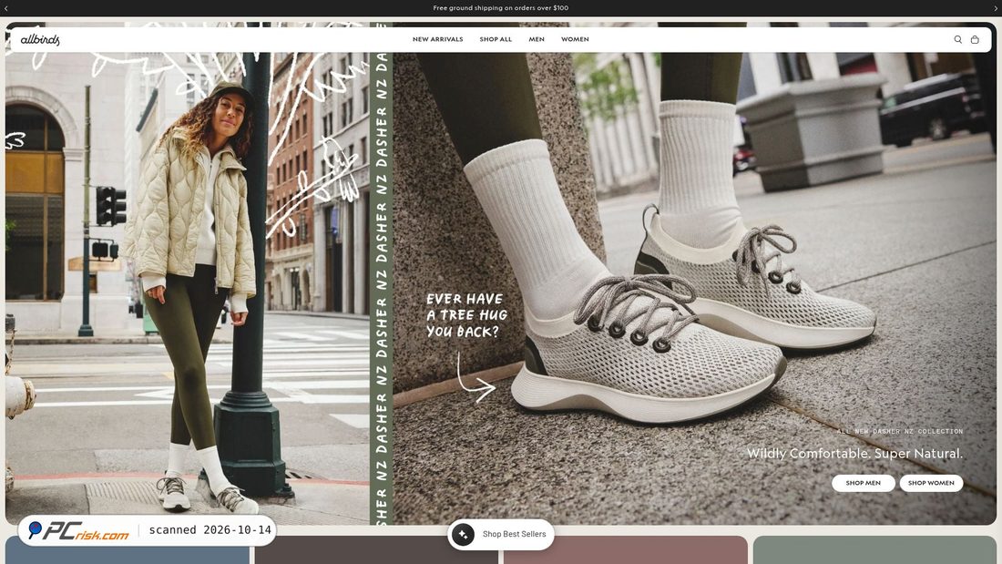 Captura de ecrã de allbirds.com