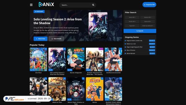 anix.com.pl screenshot