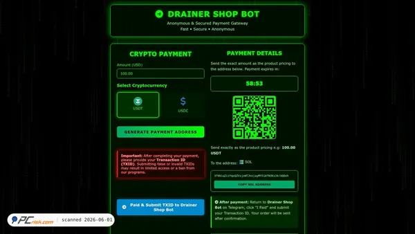 api-dsbot-pay.cc screenshot