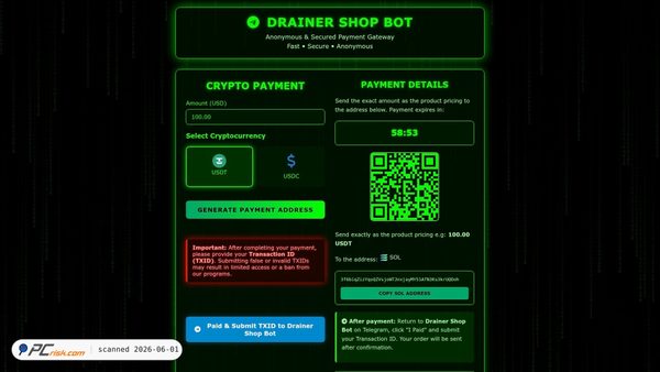 api-dsbot-pay.cc screenshot