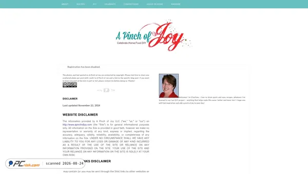 apinchofjoy.com screenshot