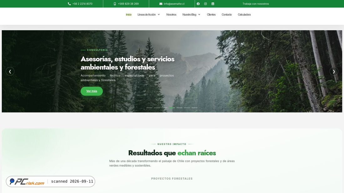 Screenshot of asemafor.cl