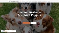 aussieshepherdworld.com screenshot