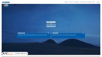 barnini.it screenshot