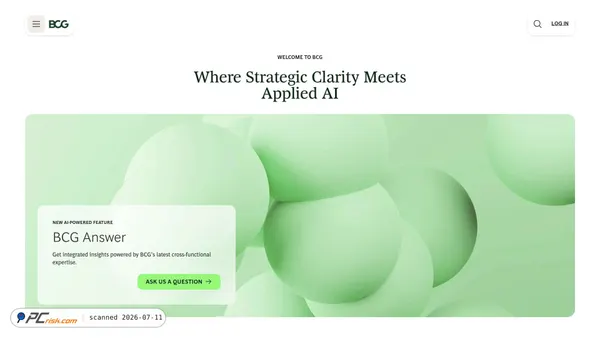 bcg.com screenshot