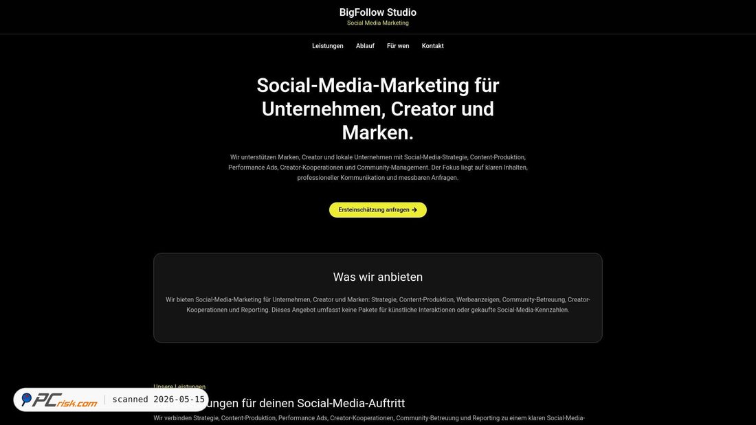 Screenshot von bigfollow.online