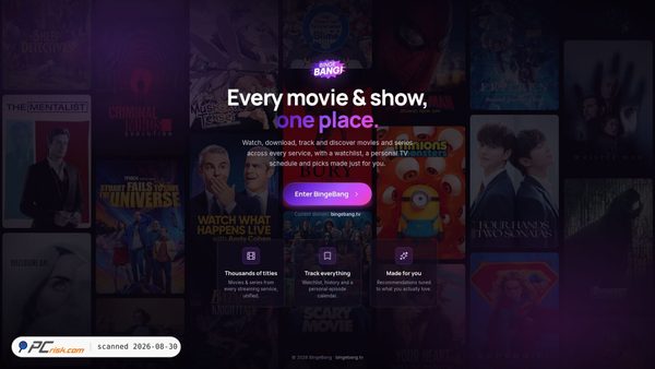 bingebang.com Screenshot