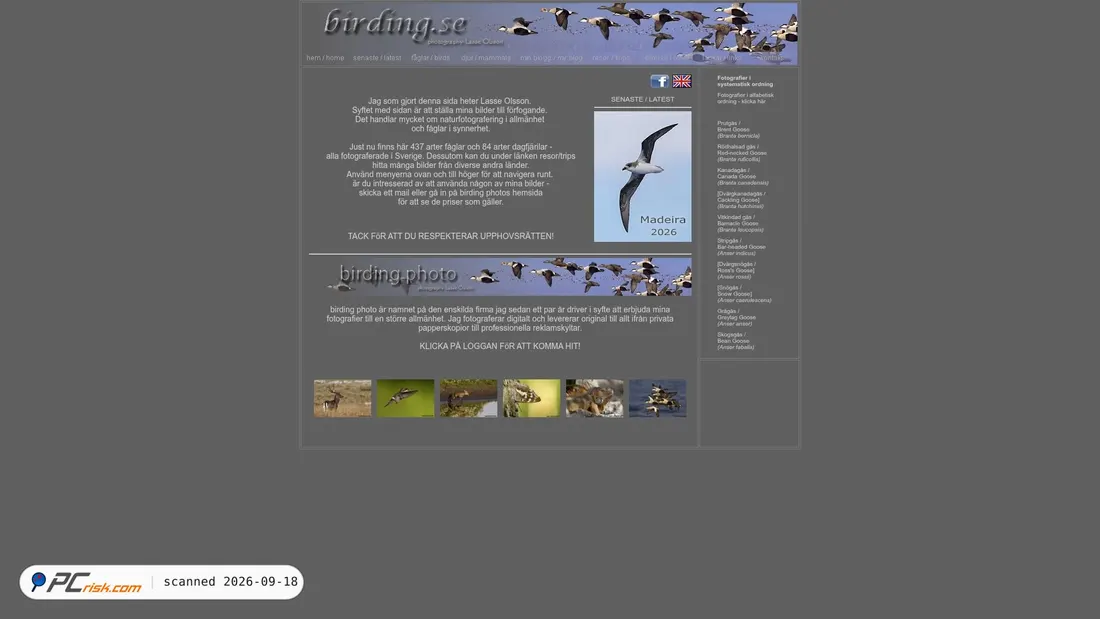 Screenshot of birding.se