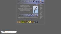 Captura de ecrã de birding.se