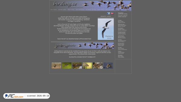 birding.se screenshot