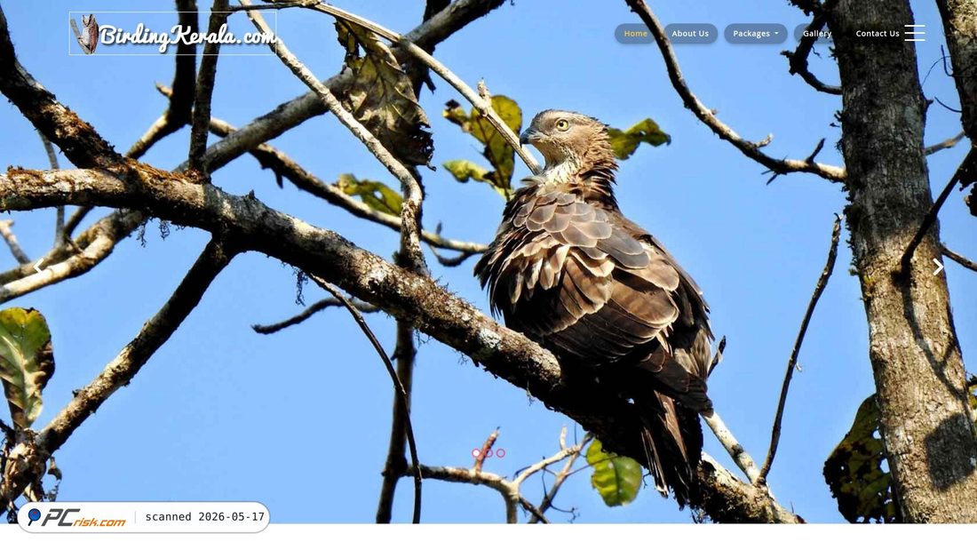 Screenshot of birdingkerala.com
