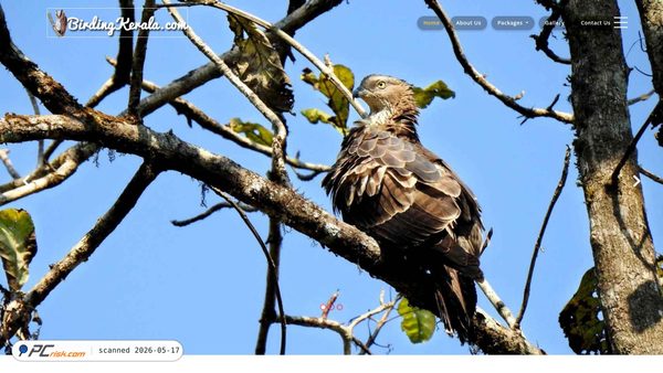 birdingkerala.com screenshot